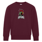 ATC™ EVERYDAY FLEECE CREWNECK YOUTH SWEATSHIRT (Full Front)