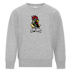 ATC™ EVERYDAY FLEECE CREWNECK YOUTH SWEATSHIRT (Full Front)